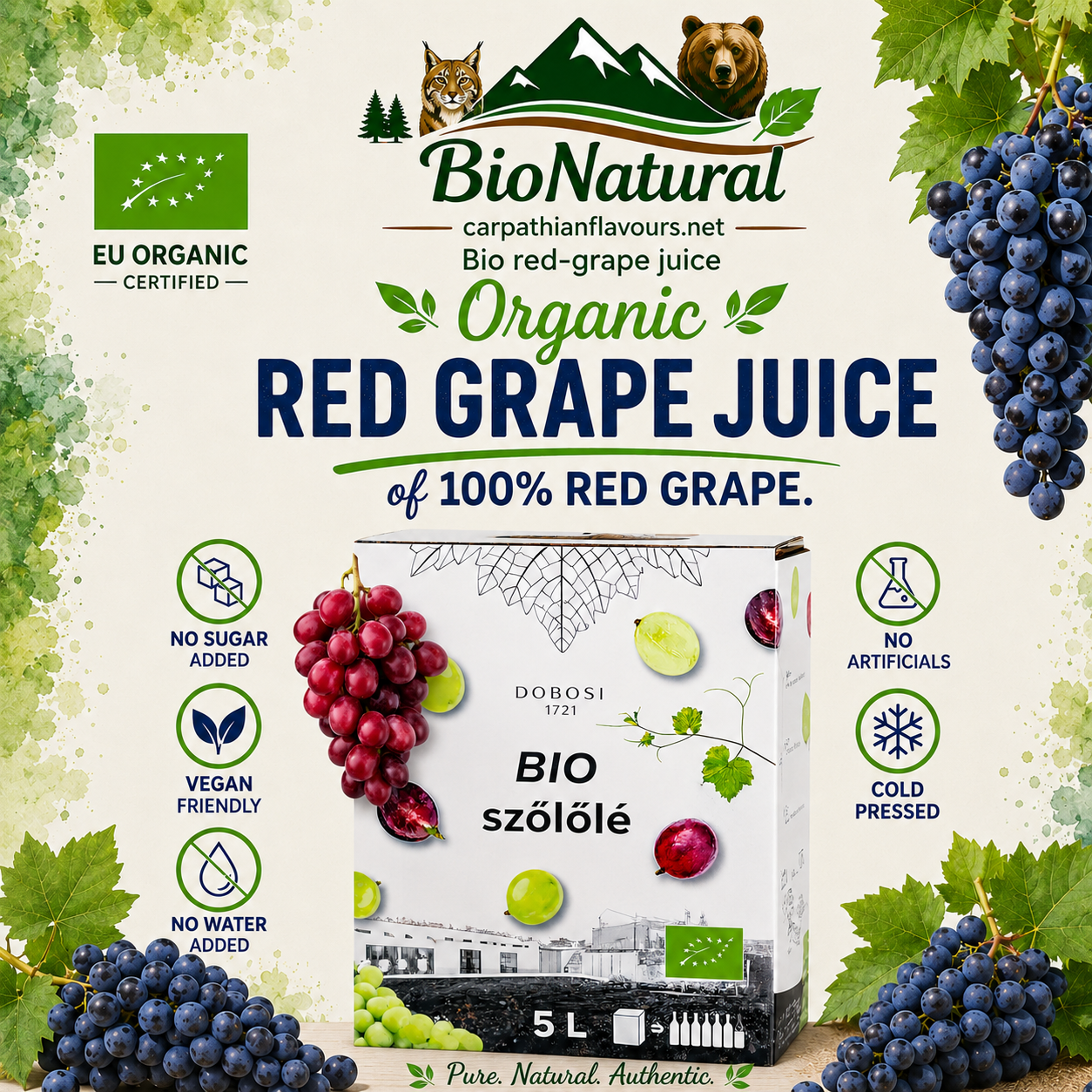 Bio red grape juice (of 100% grape) - 5L BiB