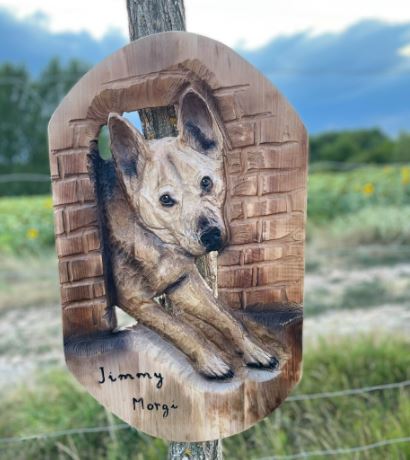 Pet Portraits