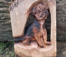 Pet Portraits