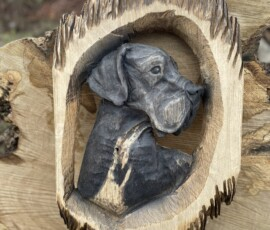 Pet Portraits