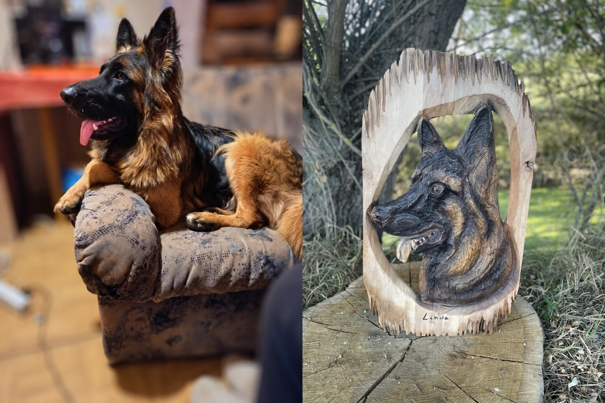 Pet Portraits