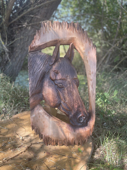Horses & Equestrian