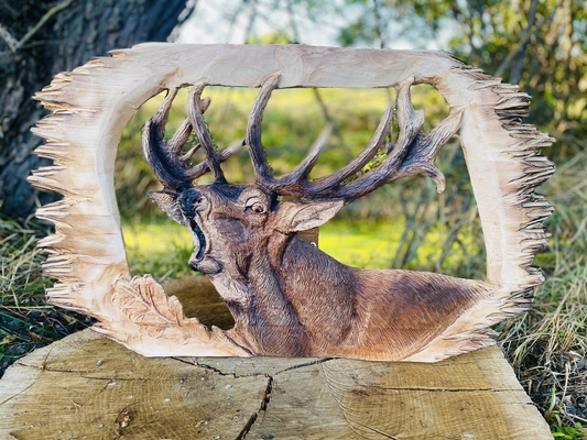 Hunting & Wildlife